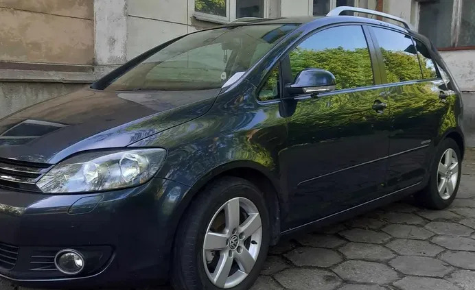 samochody osobowe Volkswagen Golf Plus cena 23600 przebieg: 188938, rok produkcji 2008 z Torzym